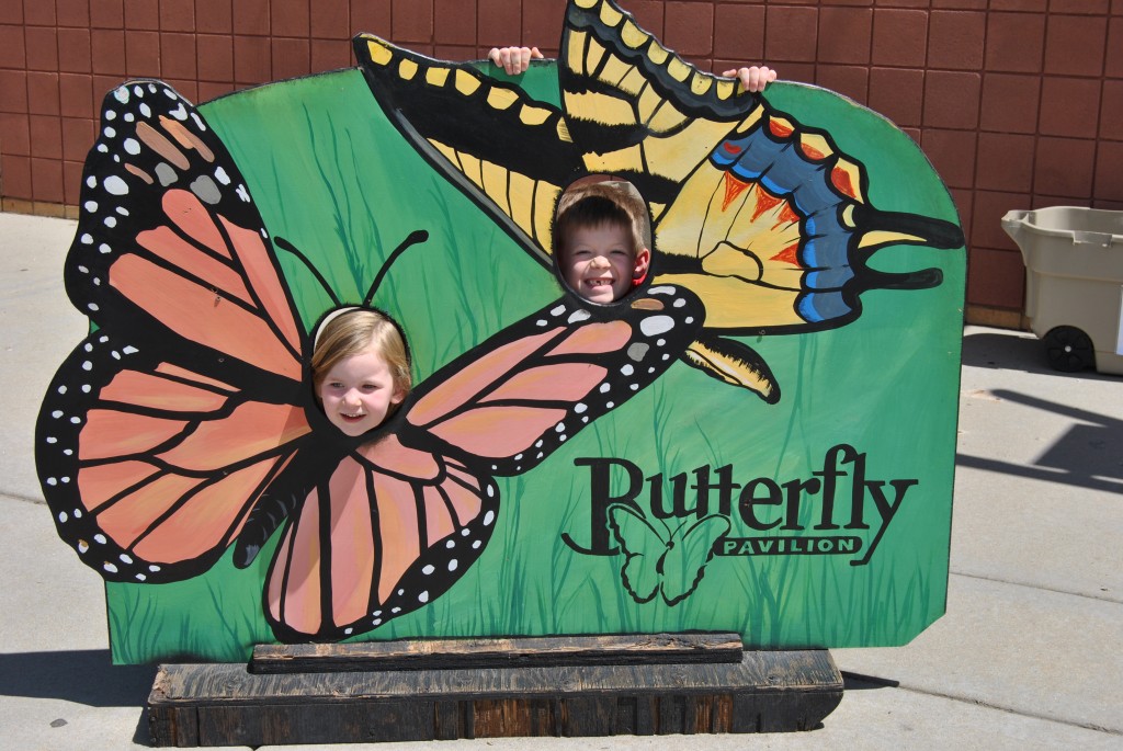 2015-6-9 Butterfly Pavilion1