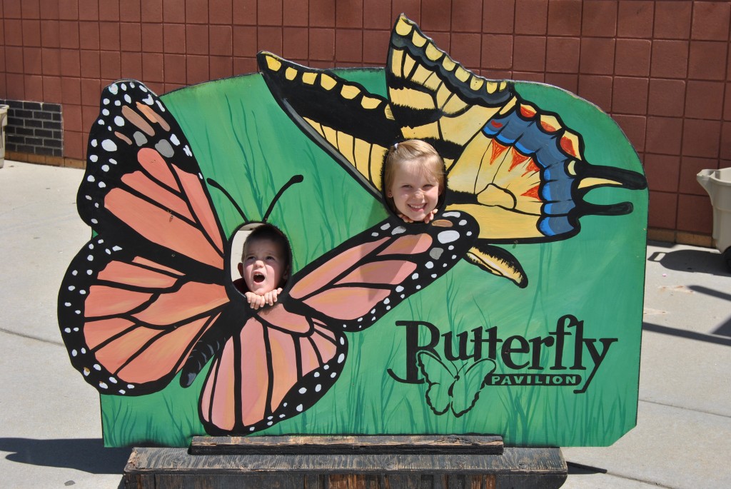 2015-6-9 Butterfly Pavilion2