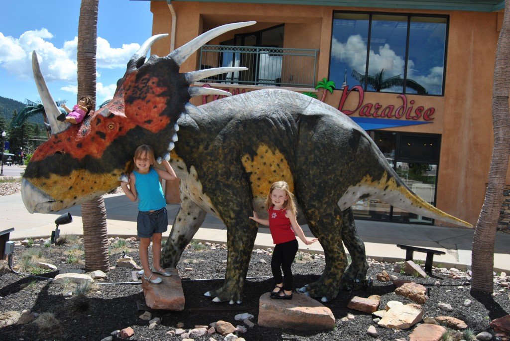 2015-8-13 Dinosaur Resource Museum1